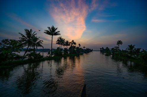 India - Kerala - Houseboat - Sunset - 4417