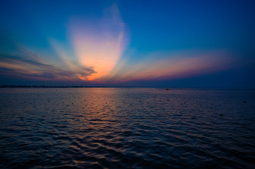 India - Kerala - Kochi - Sunset - 4422