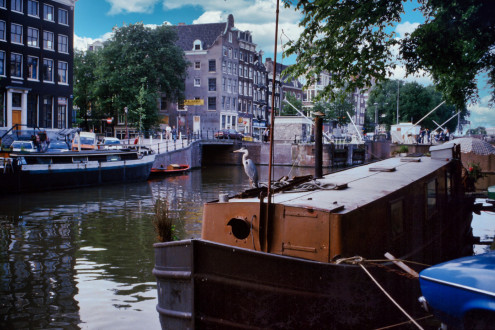 Amsterdam 1984