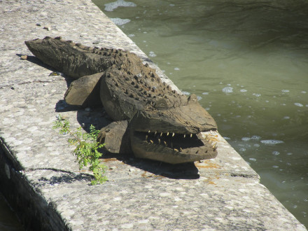 Canal du Midi, écluse (double) de l'Aiguille, un crocodile inoffensif, commune de Puichéric, Aude.