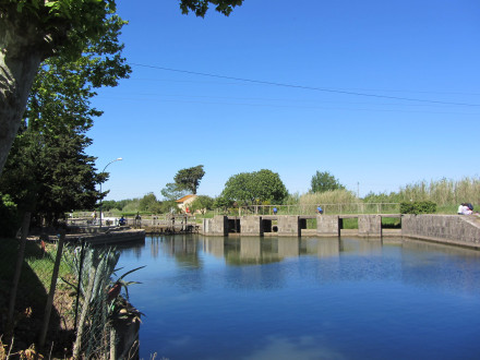 Canal du Midi, 63e bief et 67e section (bief de Bagnas, 3 km 447), arrivée sur l'écluse éponyme, commune d'Agde, Hérault.