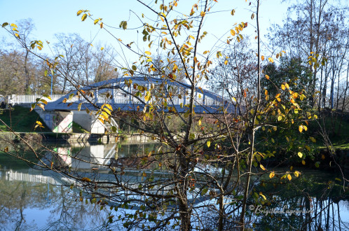 Le petit arbre et le pont